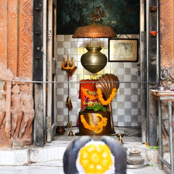 Laghu Rudra Abhishek